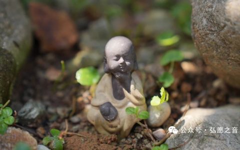 披甲精進，保護發心